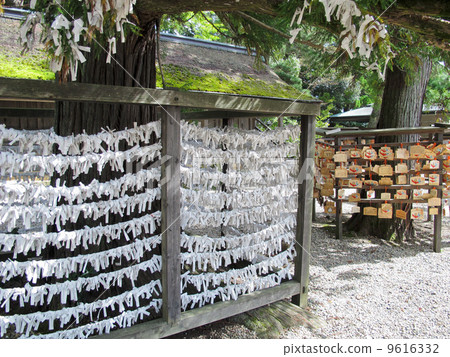 Omikuji: God of marriage / Izumo Taisha (Izumo city Shimosa-cho, Shimane prefecture) 9616332