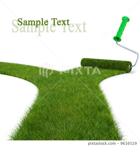 roller roller 9616529