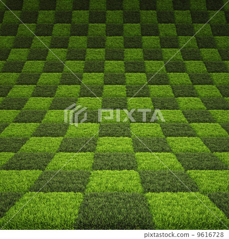 grass 9616728