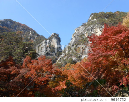 Shosenkyo gorge (autumn) 9616752