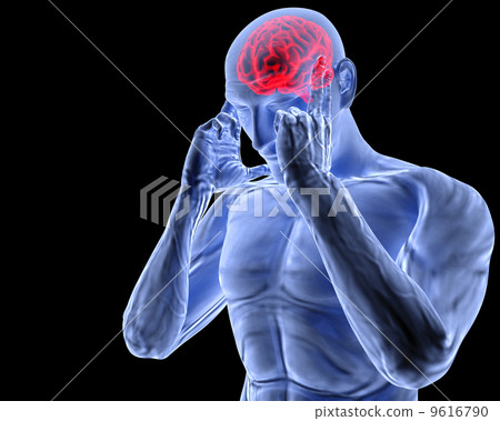 brain 9616790