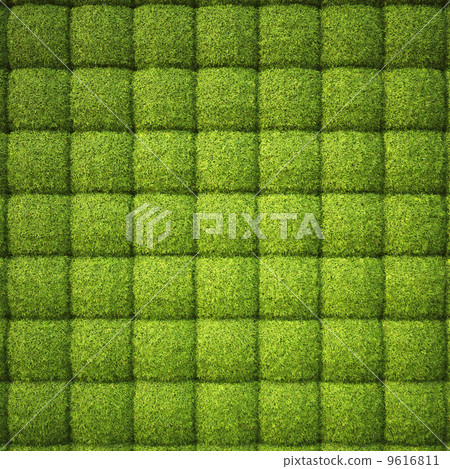 grass 9616811