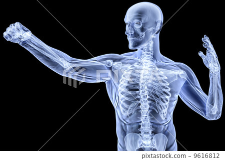 body body 9616812