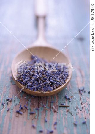 Lavender flowers in a bamboo spoon 9617938