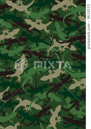 蜥蜴的偽裝圖案背景 9619315