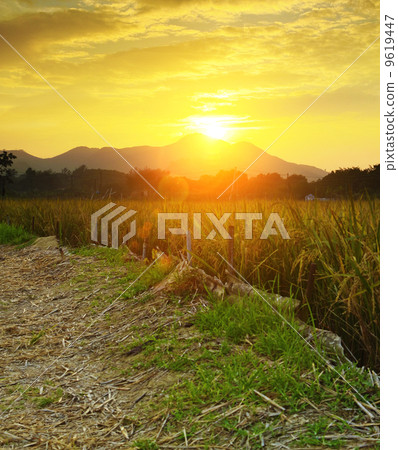 Golden sunset over farm field 9619447