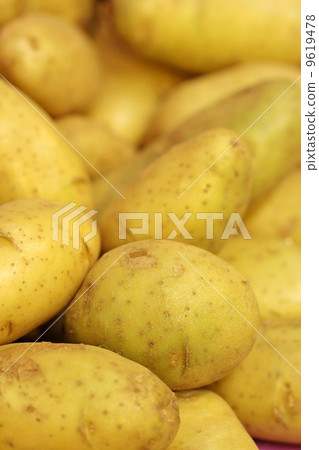 fresh potato  9619478