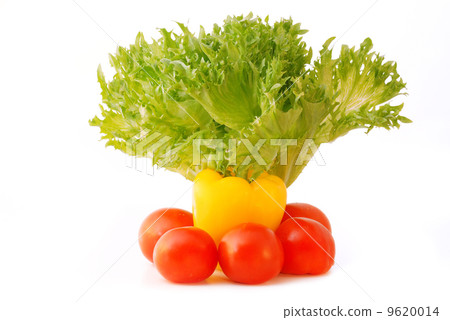 Fresh vegetables Fresh vegetables 9620014
