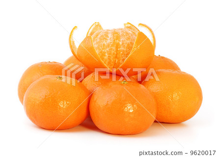Tangerines 9620017
