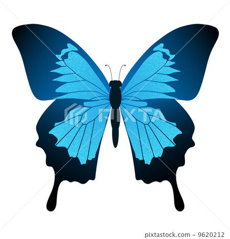 Blue butterfly Blue butterfly 9620212