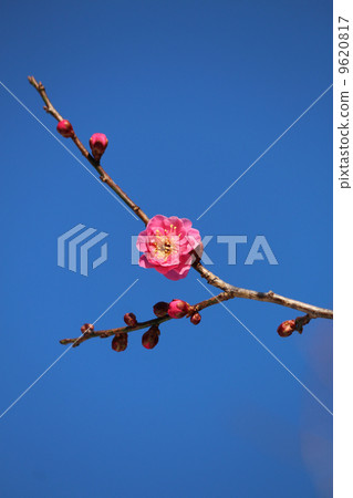 天氣寒冷 9620817