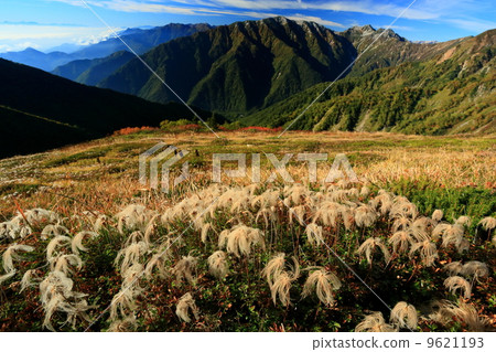 從北阿爾卑斯山的攀登·Gigatake山，Tingulama和蓮花的絨毛 9621193
