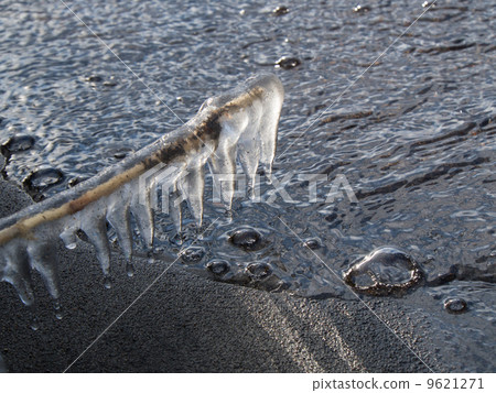 冬天在湖邊的冰柱 9621271