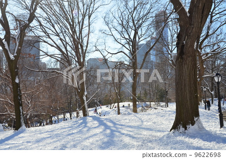 雪中央公園 雪中央公園 9622698