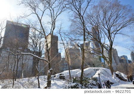 雪中央公園 雪中央公園 9622701