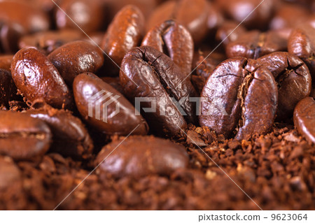 background from the fried coffee grains background from the fried coffee grains 9623064