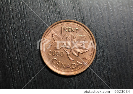 加拿大硬幣 加拿大硬幣 9623084