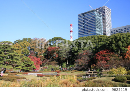 The Imperial Palace East Gardens Ninomaru Garden 9623219