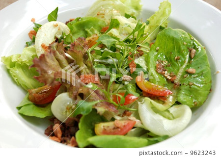 Green salad fresh organic vegetables  9623243