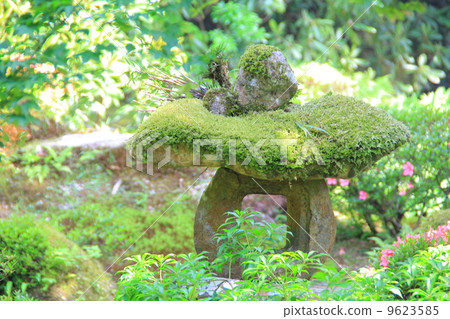 Jizo Jizo 9623585
