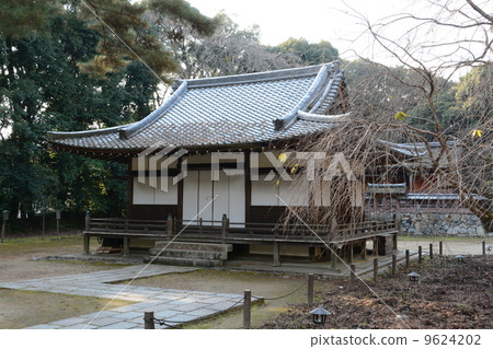 Kiyotaki Palace Hall of Daigoji in Kyoto Fushimi and autumn leaves 9624202