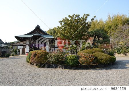 Kyoto city Yamashina Ward's recommended temple and autumn leaves 9624559
