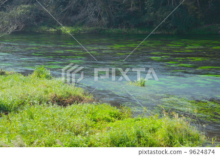 Kakita河春天春天小組“100名日本著名水域”“國家指定天然寶藏”“100日本虛偽” Kakita河春天春天小組“100名日本著名水域”“國家指定天然寶藏”“100日本虛偽” 9624874