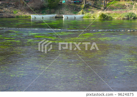 Kakita River spring spring group "100 famous Japanese waters of water" "national designated natural treasure" "100 hypocrisy of Japan" 9624875