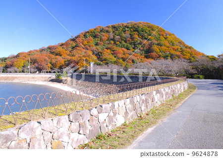 Koyama which turns red leaves as seen from Kitayama reserved pond 9624878