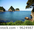 Samsulo Island on the west coast of Izu 9624987
