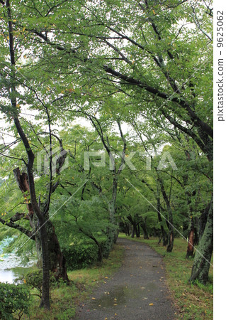 Daikaku-ji Temple Daikaku-ji Temple 9625062
