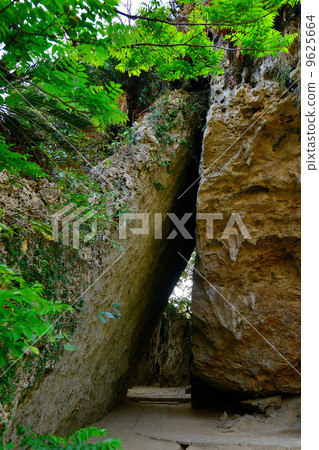 世界遺產小百合Utaki Mikori 9625664