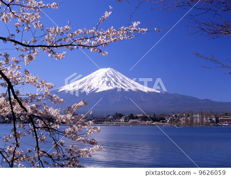 Fuji and Sakura 2001 4 15 Fuji and Sakura 2001 4 15 9626059
