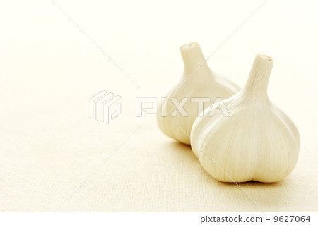 Garlic 9627064