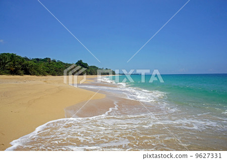 Impressions from Costa Rica 9627331
