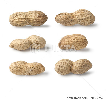 Set of Peanut isolated Set of Peanut isolated 9627752