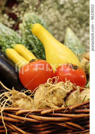 tomato in vegetable in basket 9629002
