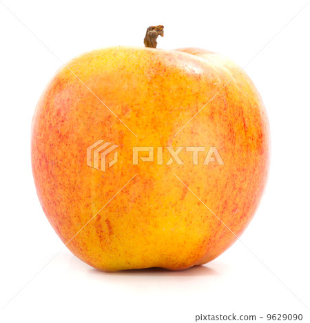 Yello Apple Yello Apple 9629090