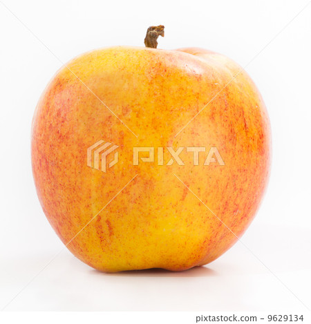 Yello Apple Yello Apple 9629134
