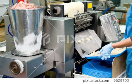 production of meat dumplings 9629703