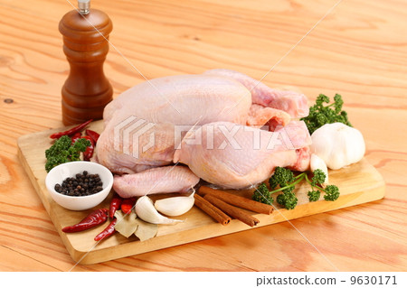 Chicken meat 9630171