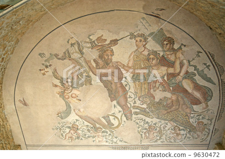 Mosaic fragment Roman Villa Romana del Casale, Sicily.  9630472