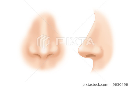 Illustration of a nose 9630496