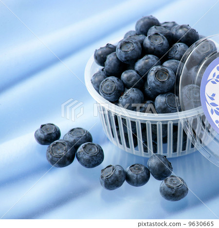 藍莓 9630665