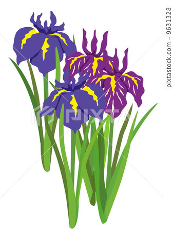 Iris 9631328