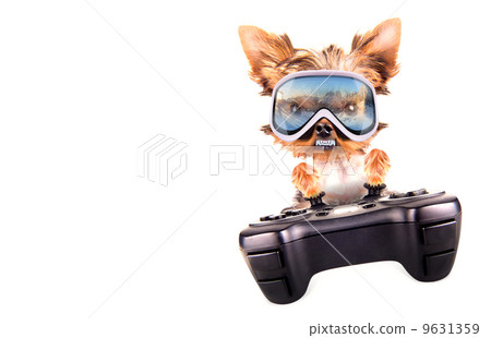 charming Puppy play on game pad 9631359