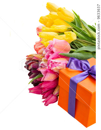 gift box with colorful tulips gift box with colorful tulips 9633637
