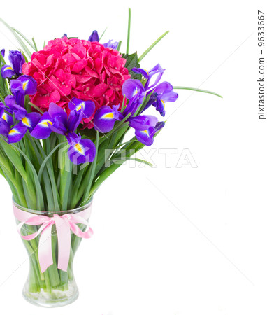hortensia and iris flowers bouquet in vase hortensia and iris flowers bouquet in vase 9633667