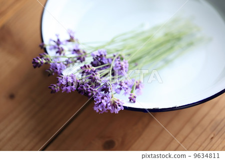 Herb (English lavender) 9634811