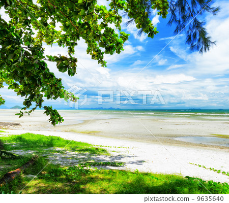Beautiful tropical landscape. Samui Island, Thailand 9635640
